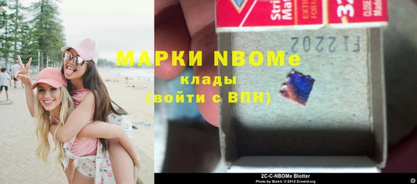 крисы Кулебаки