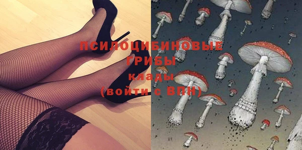 Альфа ПВП Алзамай